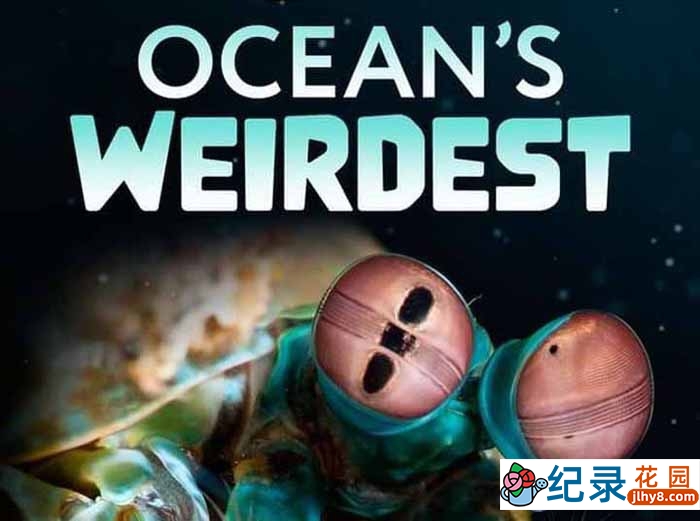 国家地理海中怪客纪录片《奇异的海洋 Oceans Weirdest》第1季