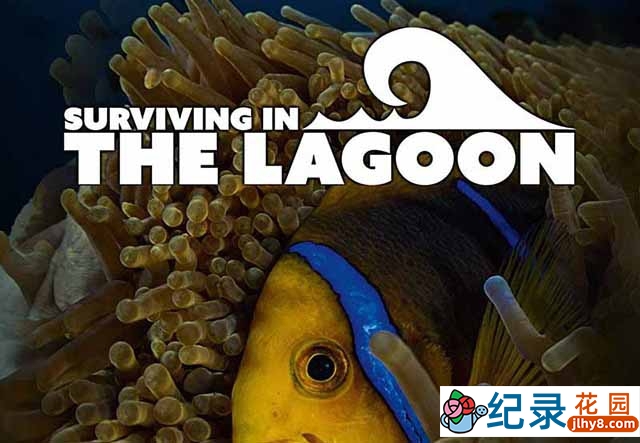 央视海洋生态纪录片《潟湖生命之旅 Surviving in the Lagoon》全1集