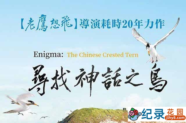 鸟类纪录片《寻找神话之鸟 Enigma: The Chinese Crested Tern》全1集