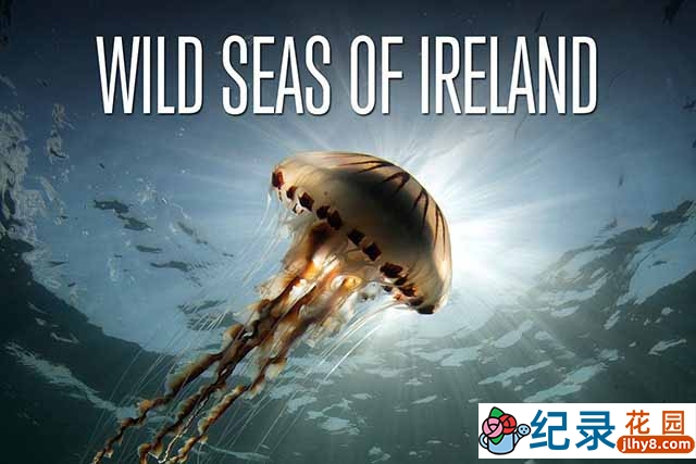 BBC海洋生态纪录片《狂野之海-爱尔兰海域探奇 Wild Seas of Ireland》全2集