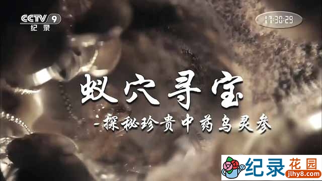 央视昆虫研究纪录片《蚁穴寻宝》全1集