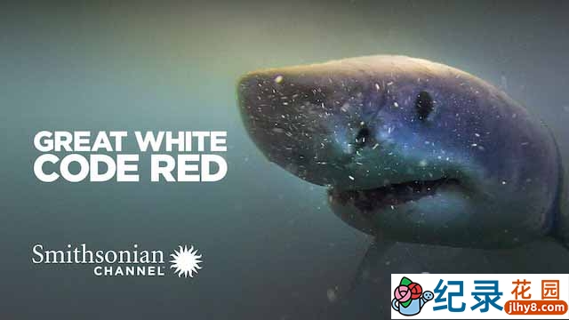 海洋生物纪录片《大白鲨感官探秘 Great White Code Red》全1集