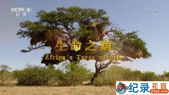 央视非洲金合欢纪录片《生命之荫 Africa’s Tress of Life》全2集