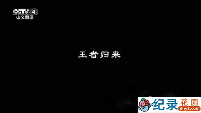 央视东北虎种群保护纪录片《王者归来-中国国家公园》全4集 