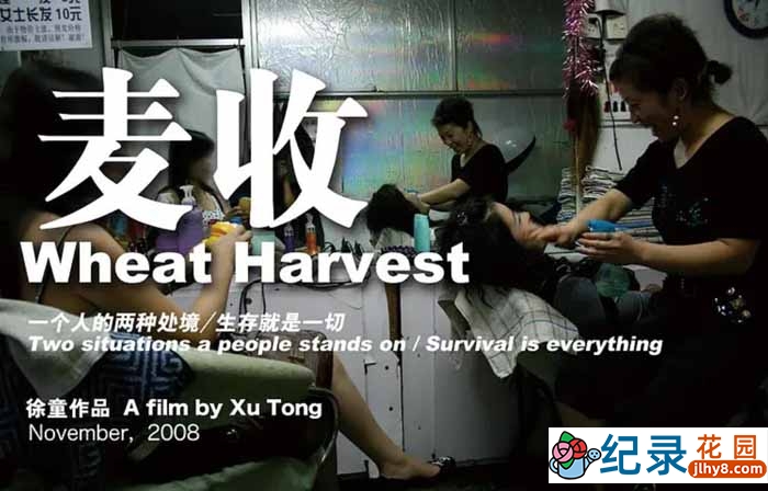 徐童游民三部曲纪录片《麦收 Wheat Harvest》全1集