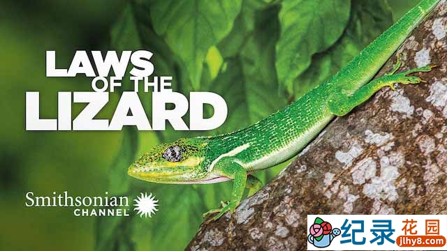 生物进化纪录片《蜥蜴法则 Laws of the Lizard》全1集