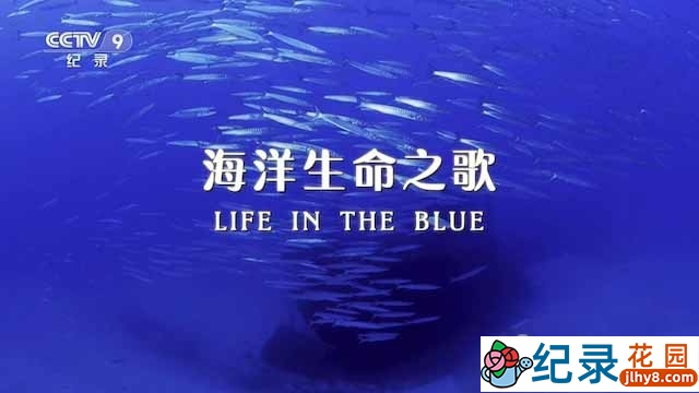 央视海洋生态研究纪录片《海洋生命之歌 Life in the Blue》全1集