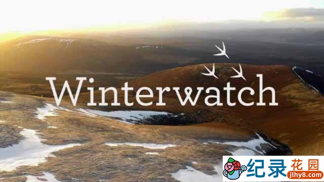 BBC鸟类保护纪录片《冬日物语 Winterwatch》全4集