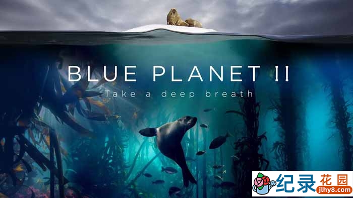 BBC海洋生态纪录片《蓝色星球The Blue Planet》第2季 720P/1080i高清纪录片百度云下载插图