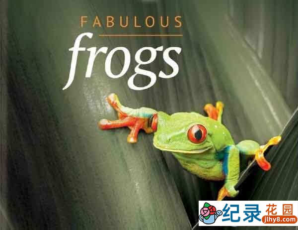 BBC自然生物纪录片《神奇的青蛙 Fabulous Frogs》全1集 720P/ 1080i高清纪录片百度云插图