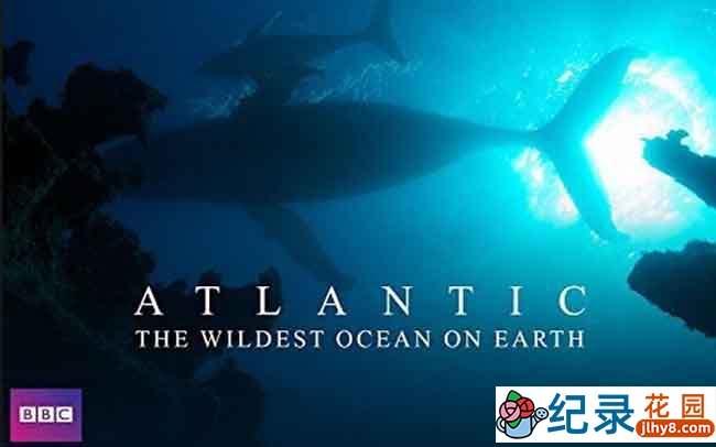 BBC海洋生态纪录片《大西洋：地球最狂野的海洋 Atlantic: The Wildest Ocean on Earth》全3集 720P/1080i高清纪录片百度云插图