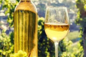 葡萄酒之旅：香槟&阿尔萨斯 Wineroads: Champagne & Alsace