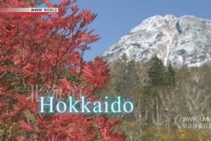 骑行日本：北海道大自然之母 Autumn Amidst Mother Nature in Hokkaido
