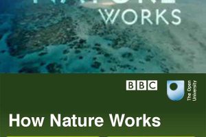 自然的运作 How Nature Works