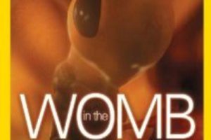 子宫日记：极端动物 In the Womb: Extreme Animals