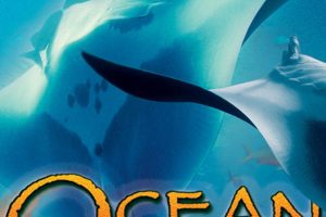 海洋绿洲 Ocean Oasis