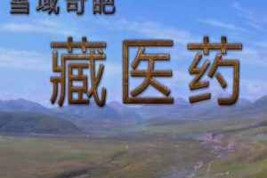 雪域奇葩 藏医药