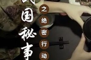 民国秘事之绝密行动