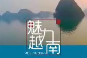 魅力越南