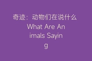 奇迹：动物们在说什么 What Are Animals Saying