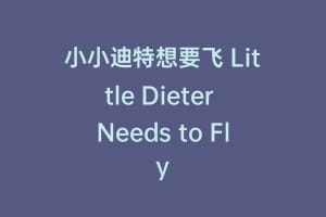 小小迪特想要飞 Little Dieter Needs to Fly