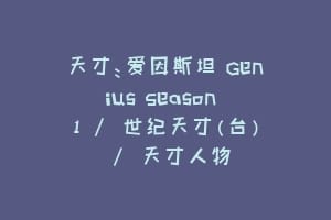 天才：爱因斯坦 Genius Season 1 / 世纪天才(台) / 天才人物