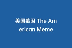 美国摹因 The American Meme