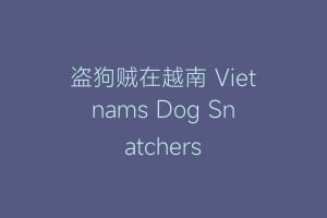 盗狗贼在越南 Vietnams Dog Snatchers缩略图 盗狗贼在越南 Vietnams Dog Snatchers