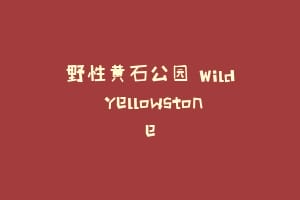 野性黄石公园 Wild Yellowstone