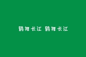 鹤舞长江 鹤舞长江