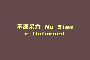 不遗余力 No Stone Unturned