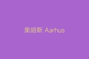 奥胡斯 Aarhus