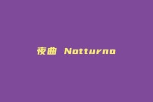 夜曲 Notturno