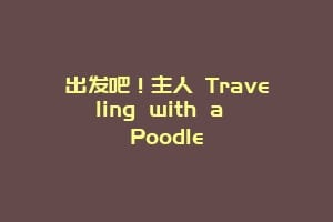 出发吧！主人 Traveling with a Poodle