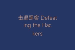 击退黑客 Defeating the Hackers