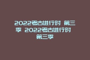 2022考古进行时 第三季 2022考古进行时 第三季