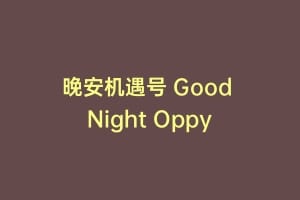晚安机遇号 Good Night Oppy