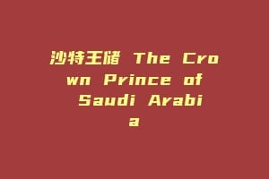 沙特王储 The Crown Prince of Saudi Arabia