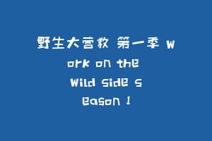 野生大营救 第一季 Work on the Wild Side Season 1