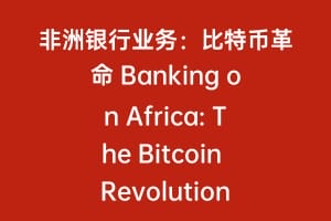 非洲银行业务:比特币革命 Banking on Africa: The Bitcoin Revolution缩略图 非洲银行业务:比特币革命 Banking on Africa: The Bitcoin Revolution