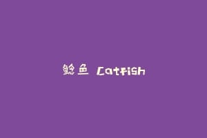 鲶鱼 Catfish