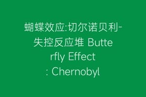 蝴蝶效应:切尔诺贝利-失控反应堆 Butterfly Effect: Chernobyl插图 蝴蝶效应:切尔诺贝利-失控反应堆 Butterfly Effect: Chernobyl