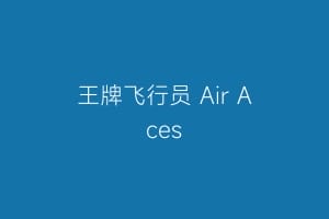 王牌飞行员 Air Aces