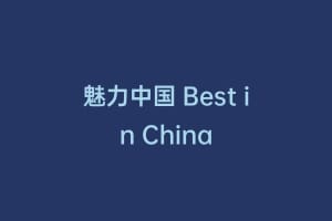 魅力中国 Best in China