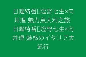 日曜特番・塩野七生×向井理 魅力意大利之旅 日曜特番・塩野七生×向井理 魅惑のイタリア大紀行