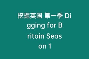 挖掘英国 第一季 Digging for Britain Season 1缩略图 挖掘英国 第一季 Digging for Britain Season 1