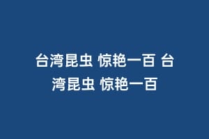 台湾昆虫 惊艳一百 台湾昆虫 惊艳一百