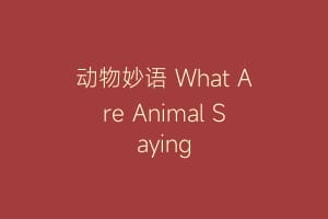 动物妙语 What Are Animal Saying缩略图 动物妙语 What Are Animal Saying