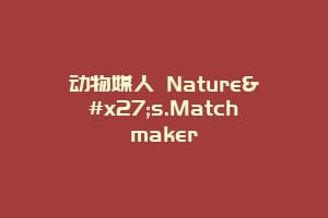 动物媒人 Nature's.Matchmaker缩略图 动物媒人 Nature's.Matchmaker