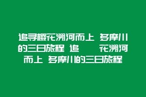 追寻樱花溯河而上 多摩川的三日旅程 追尋櫻花溯河而上 多摩川的三日旅程